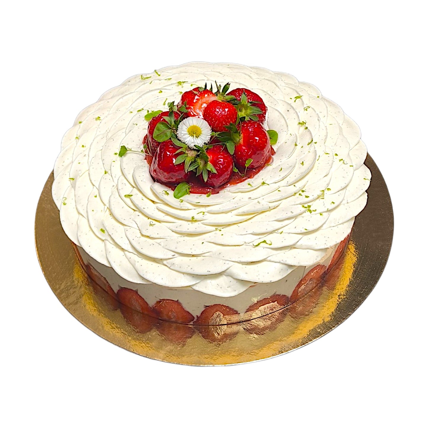 Fraisier