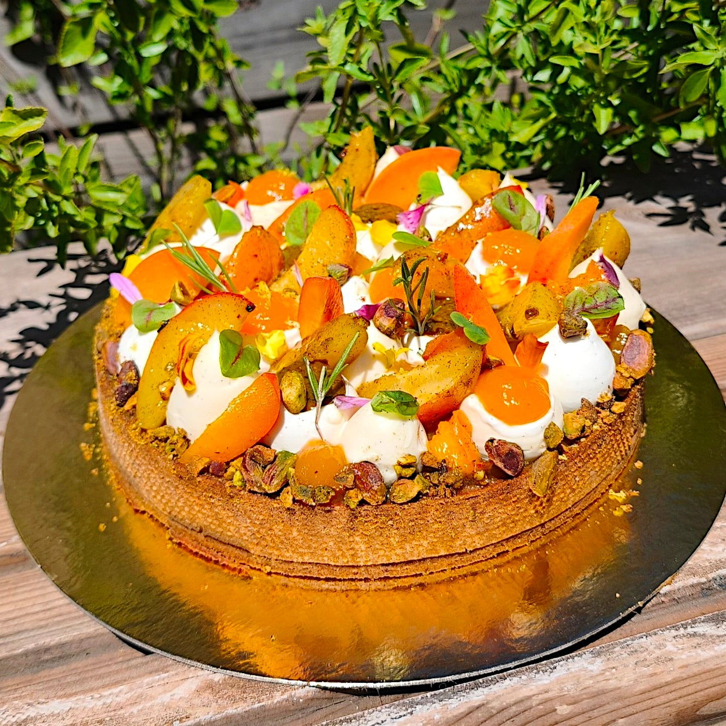 Tarte Pistache et Abricot