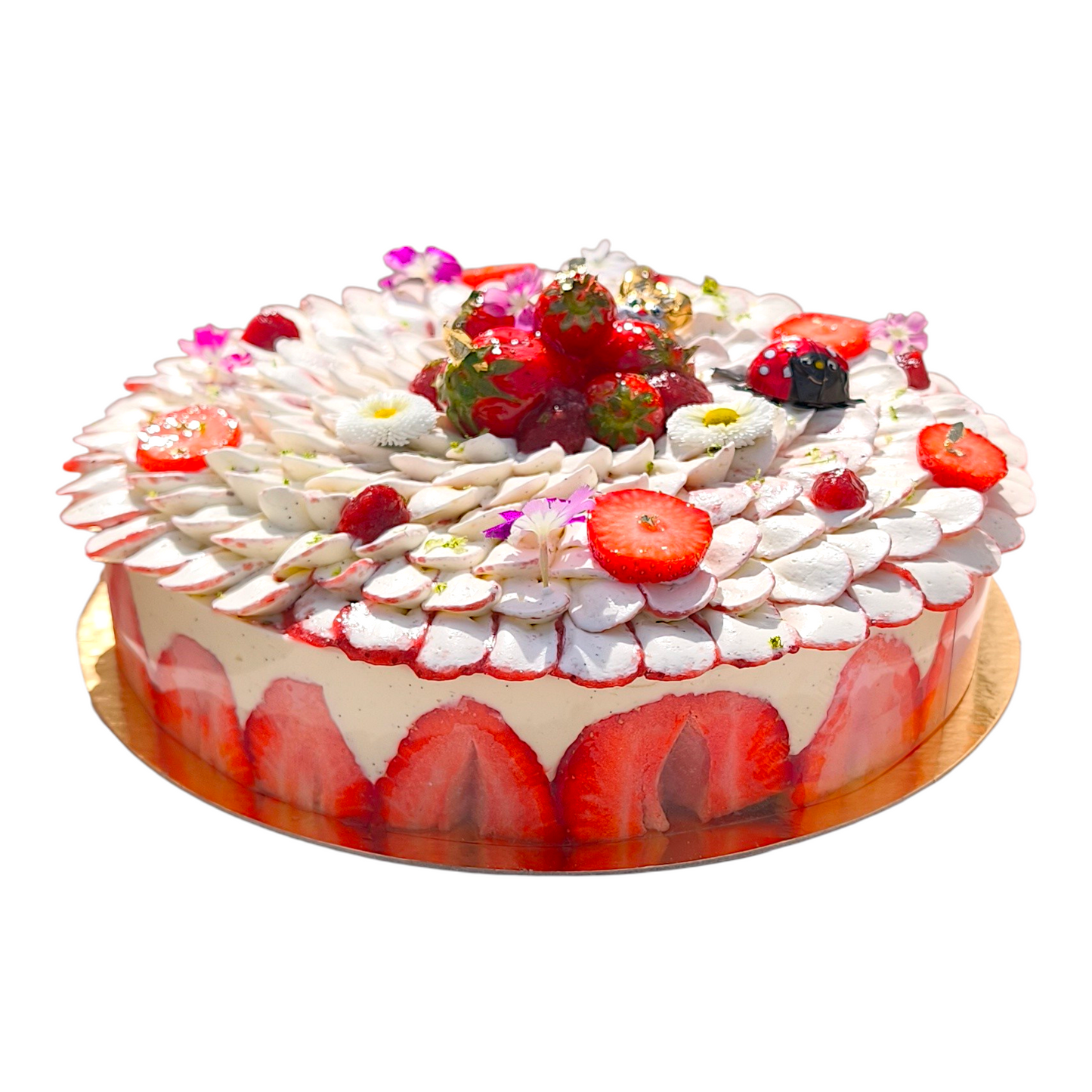 Fraisier